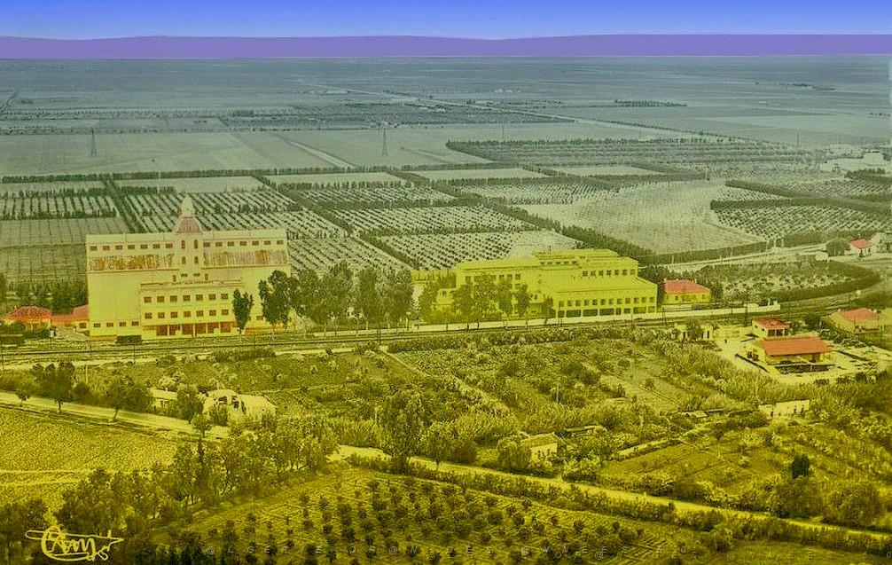 RELIZANE 037.jpg